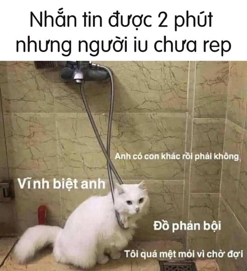 meme đợi chờ