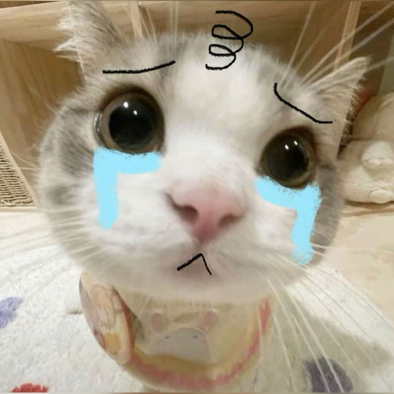 meme đồng cảm