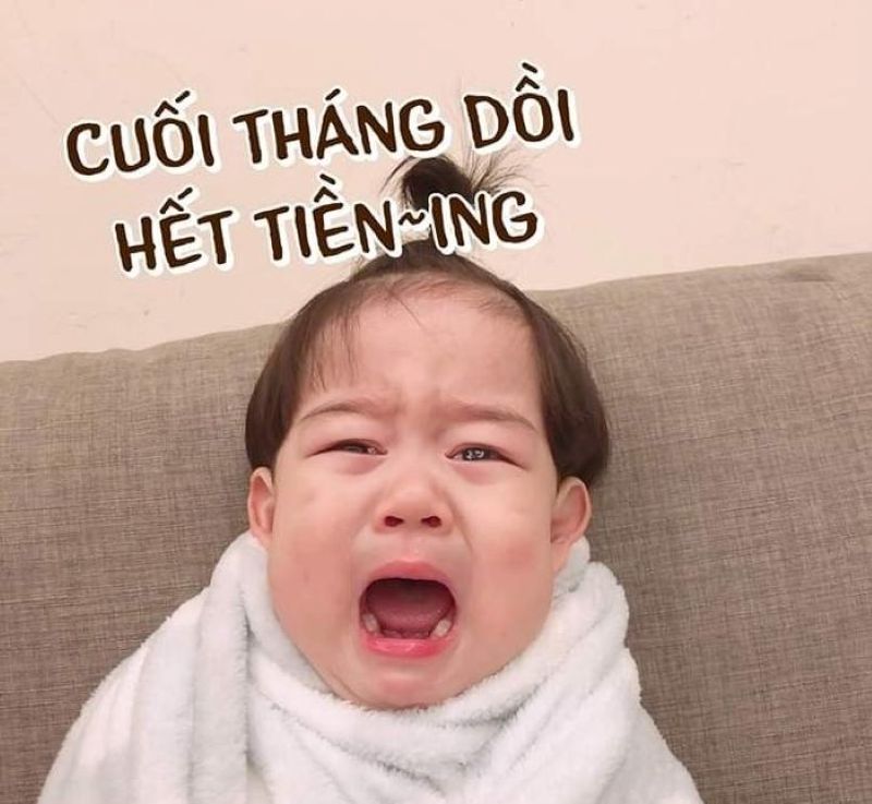 meme đưa tiền