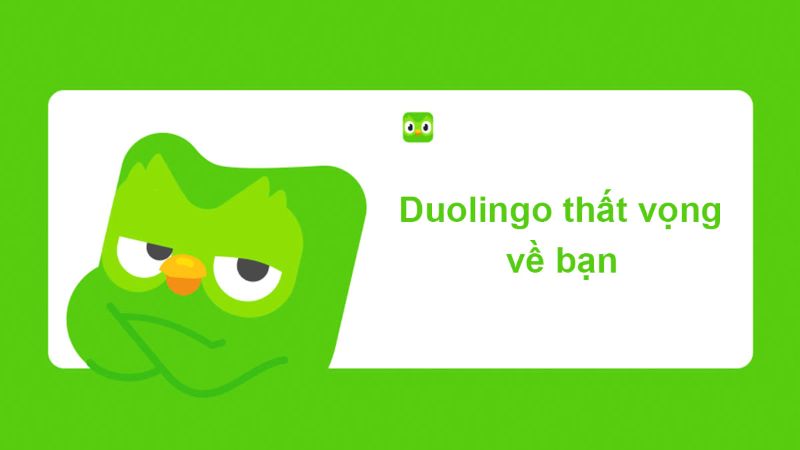 meme duolingo hài