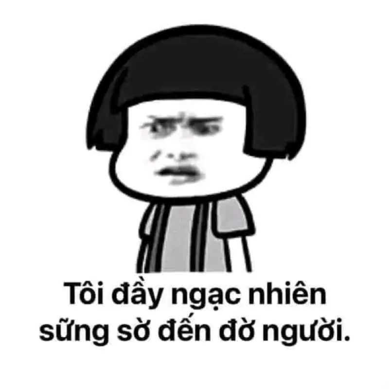meme gấu trúc ngạc nhiên