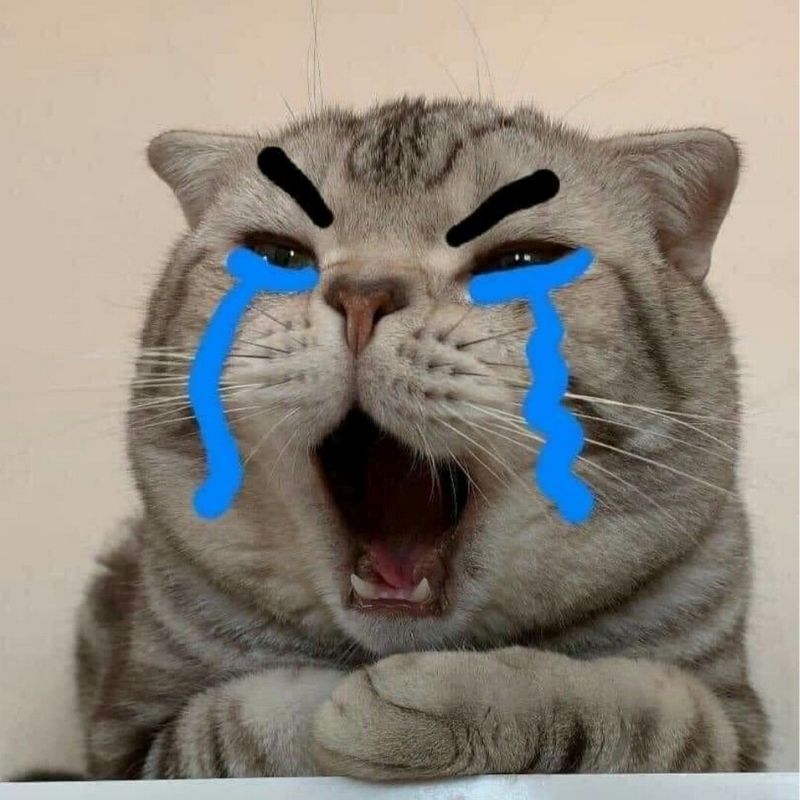 meme hài