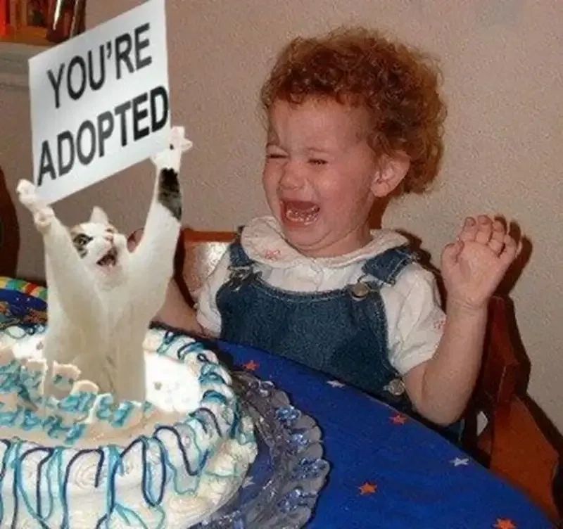 meme happy birthday