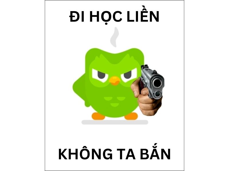meme học đi