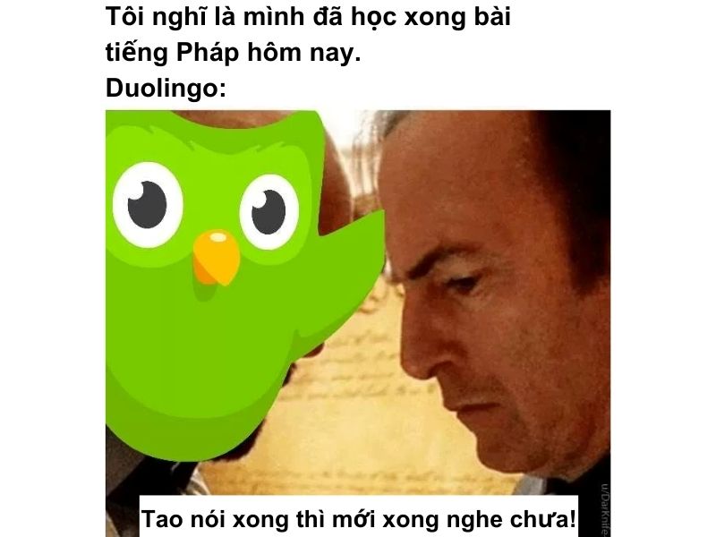 meme học hành