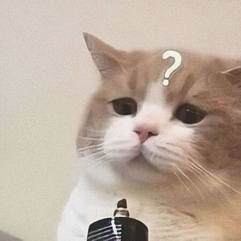 meme khó hiểu