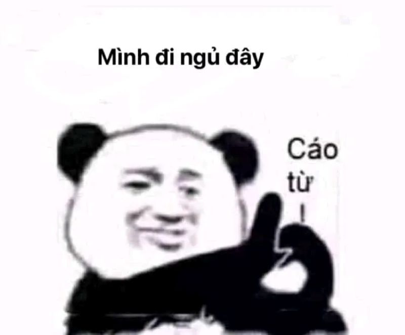 meme không ngủ được