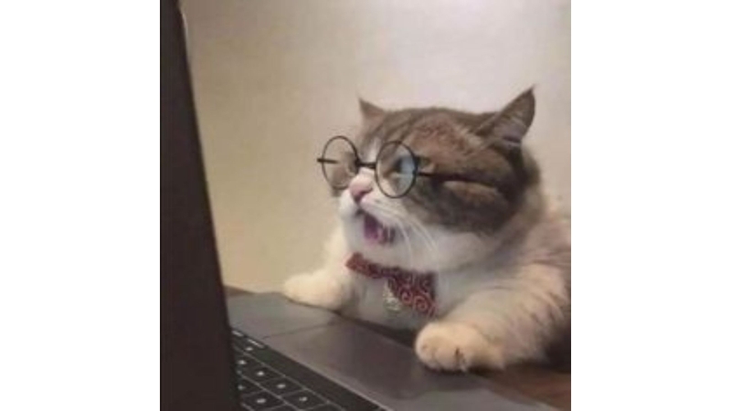 meme lạc quan