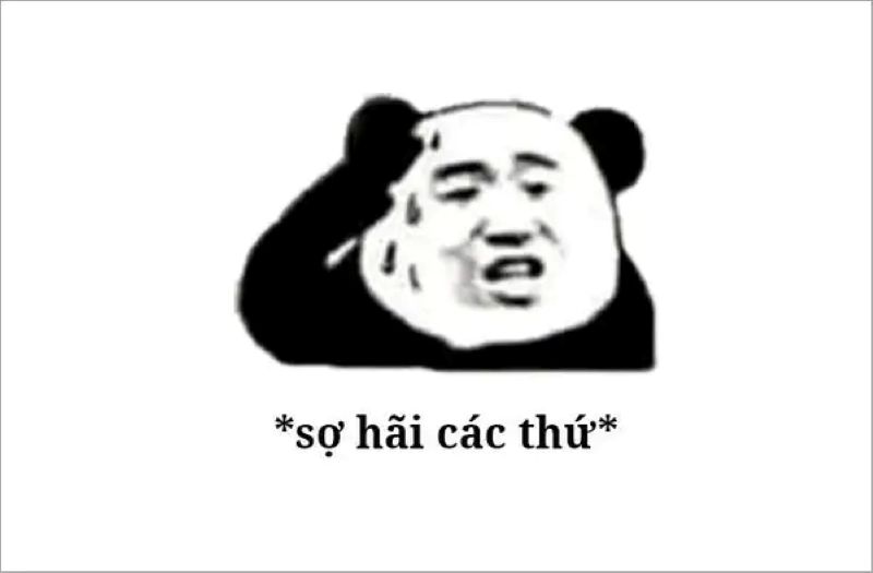 meme lo lắng