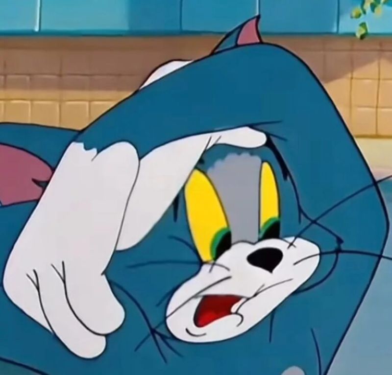 meme mèo hốt hoảng