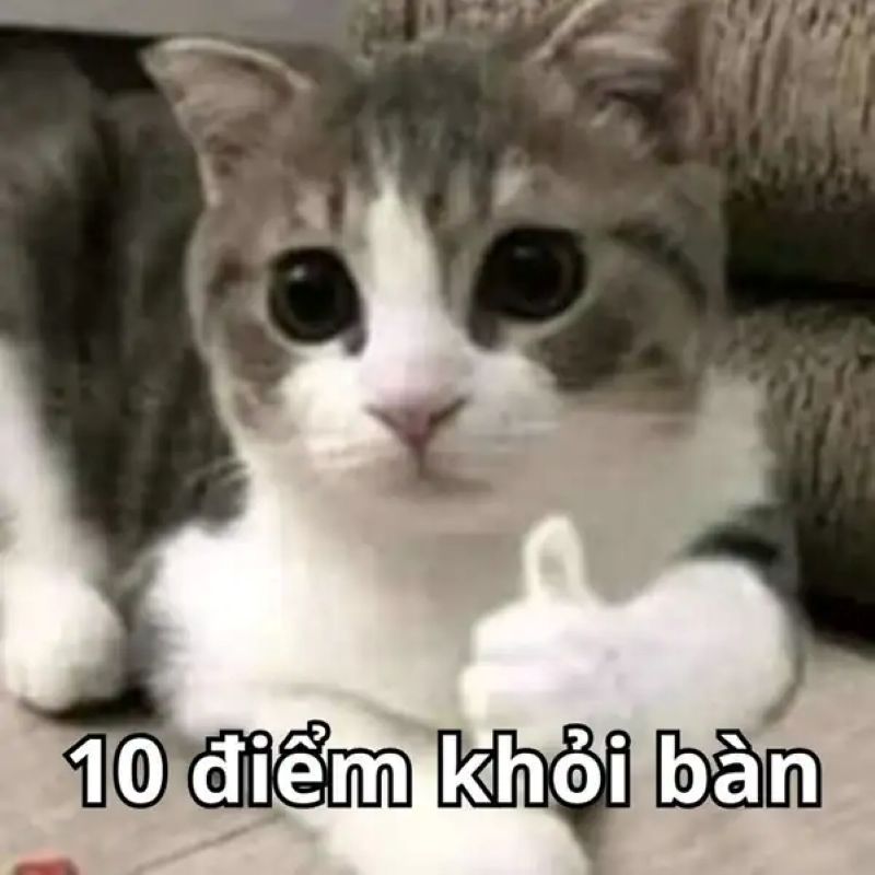 meme mười điểm