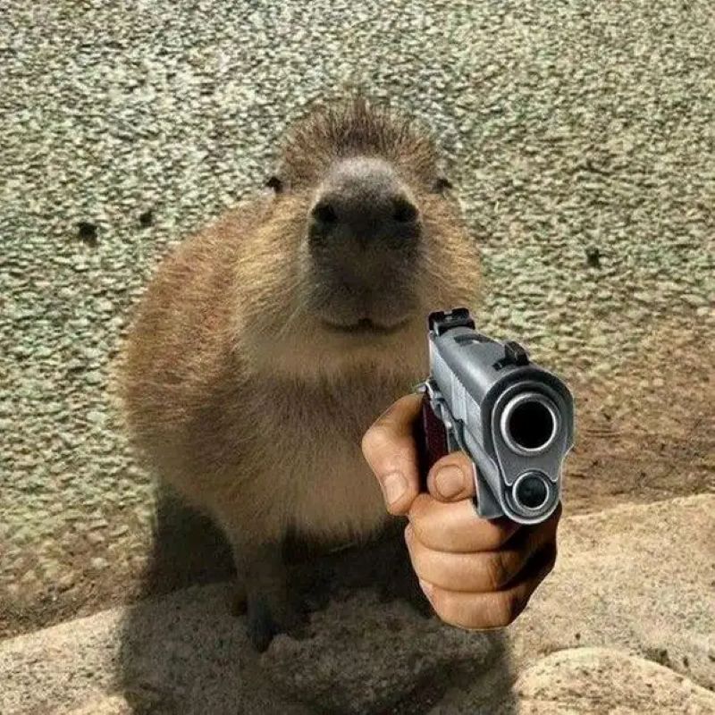meme ngầu