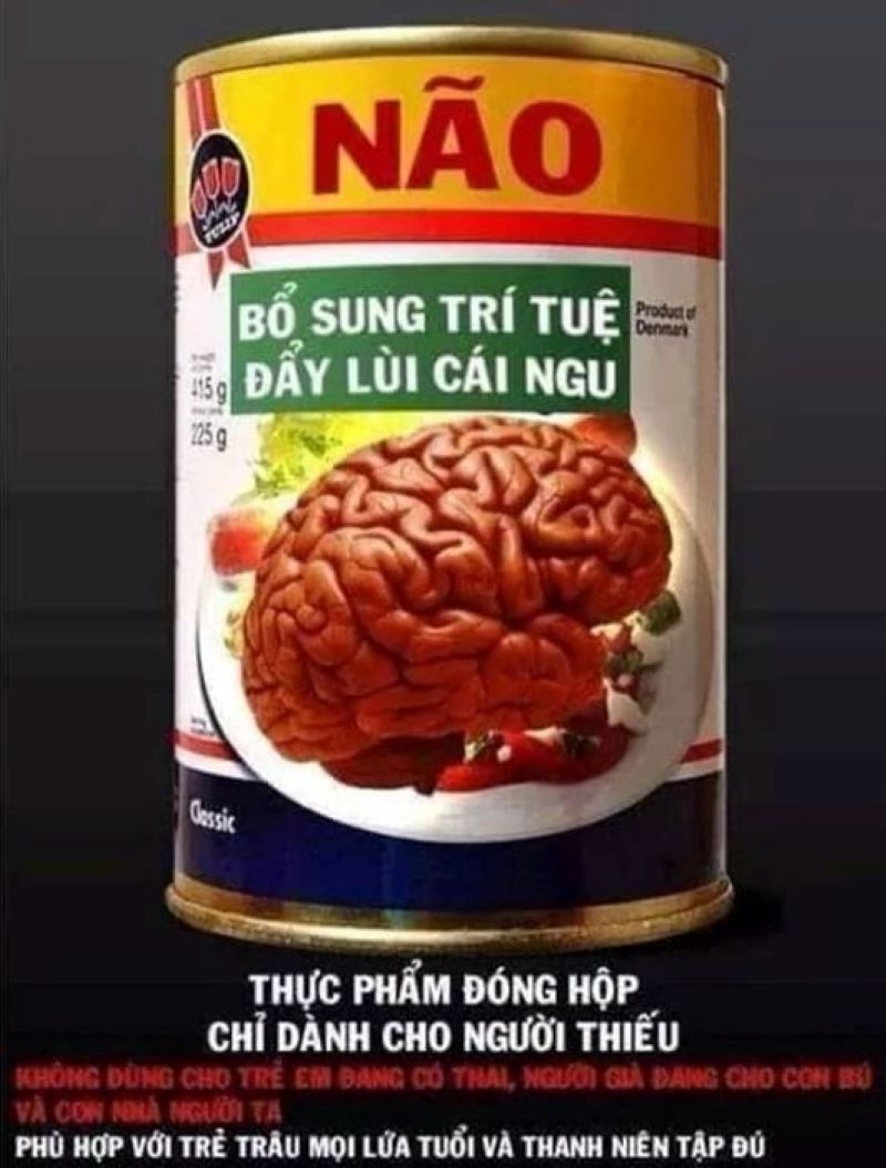 meme ngu
