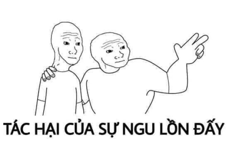 meme ngu dốt hài hước