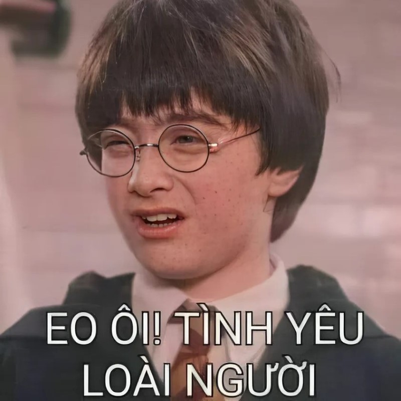 meme người