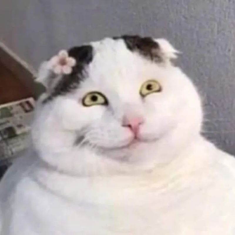 meme nhếch mép