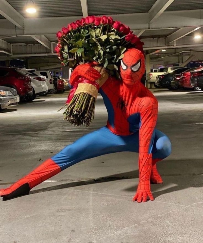 meme nhện