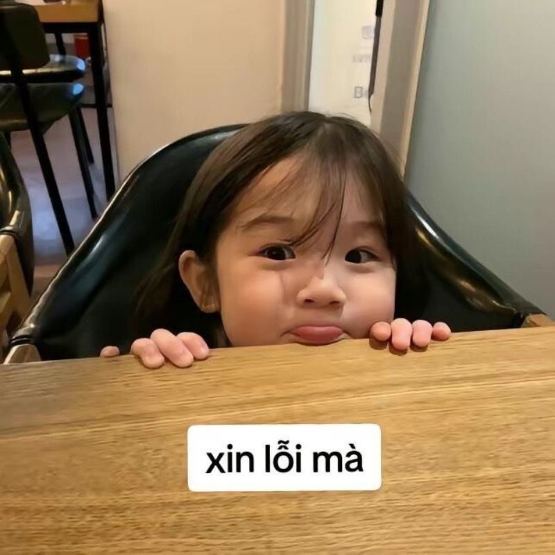 meme quỳ xuống