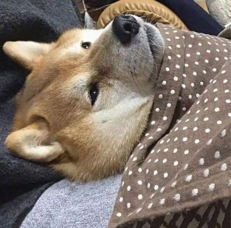 meme suy nghĩ