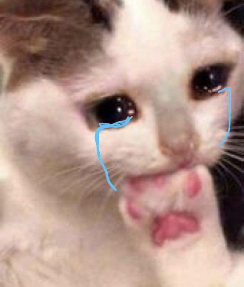 meme suy sụp