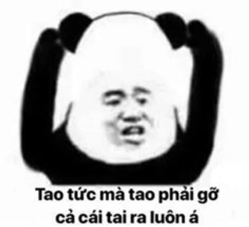 meme thề