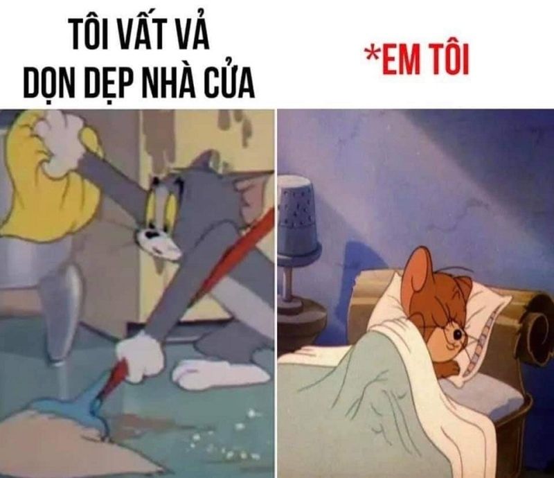 meme thú vị
