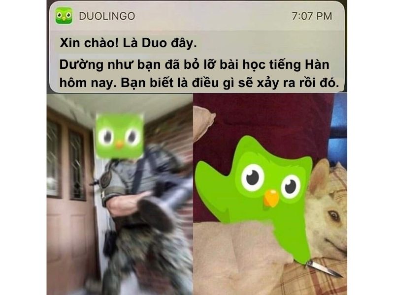 meme tiếng nhật