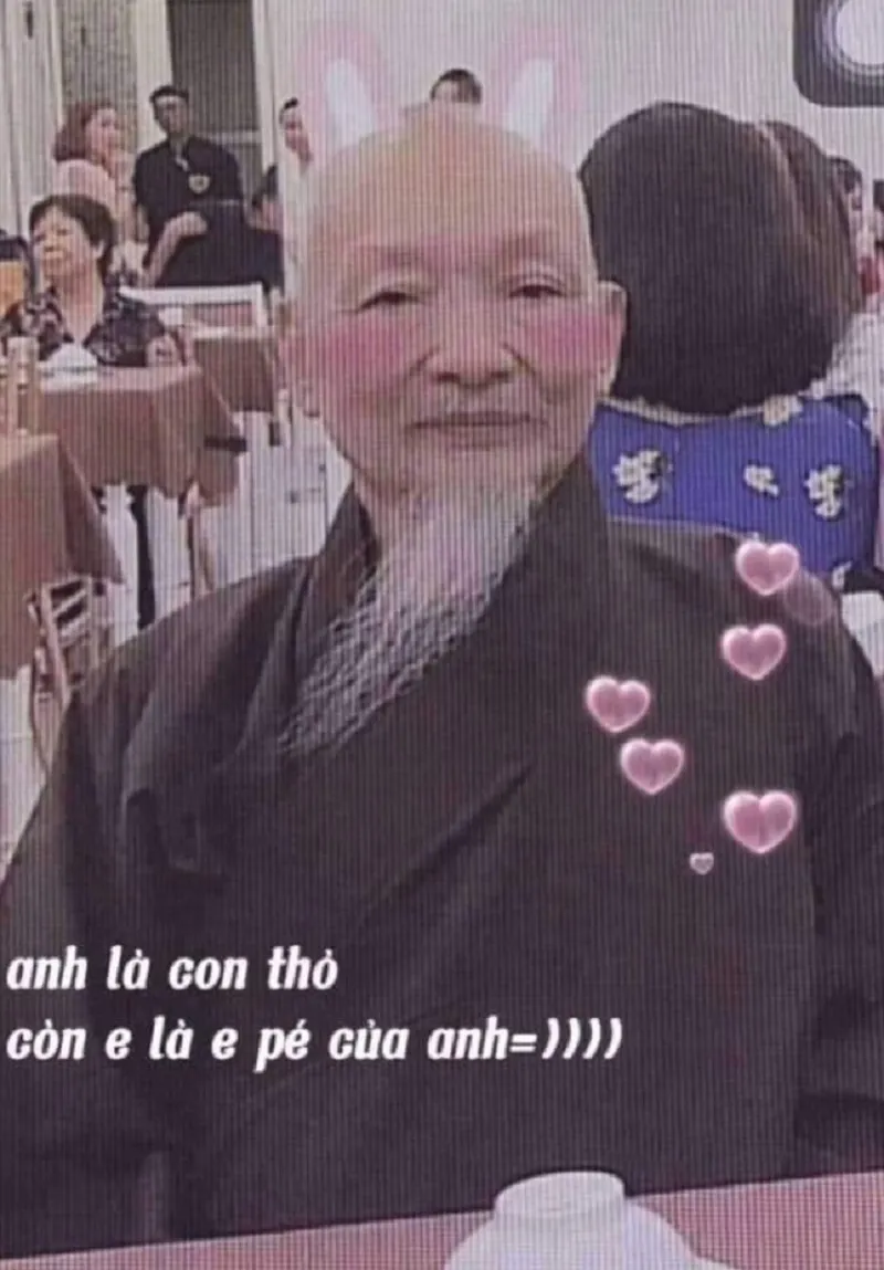 meme tịnh tâm