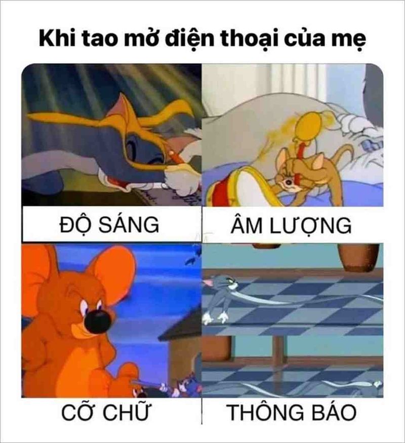 meme tom and jerry