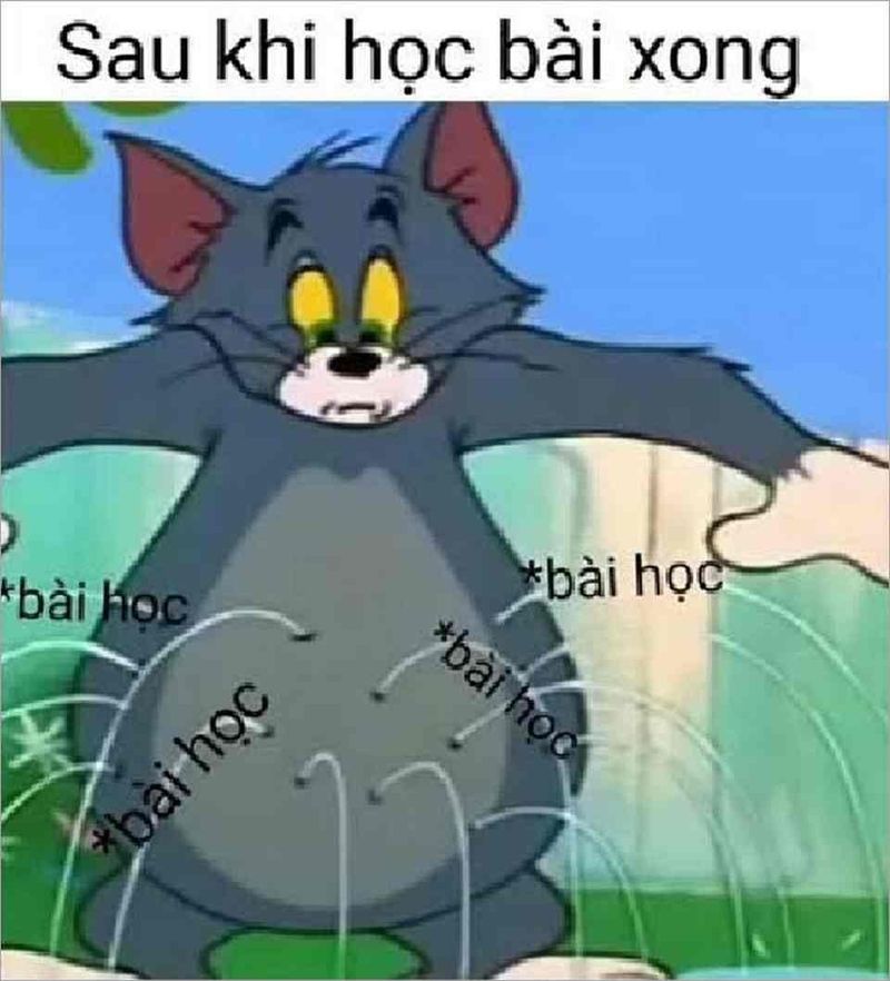 meme tom và jerry