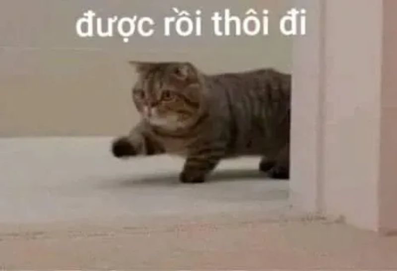 meme từ chối hài