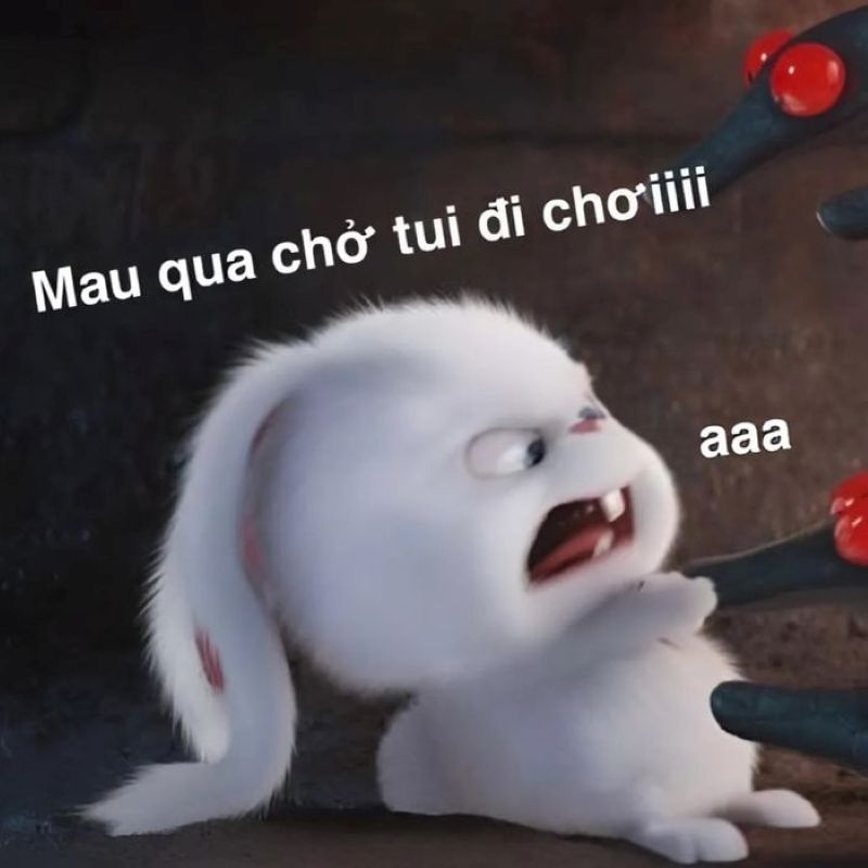 meme về tình yêu