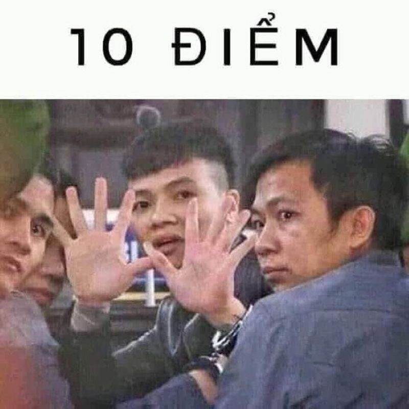 meme việt nam