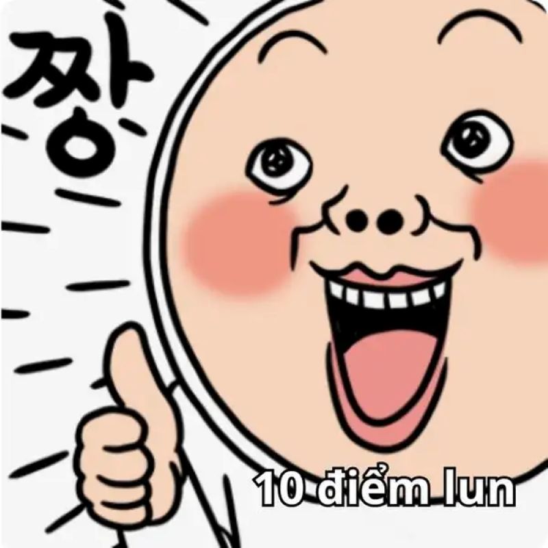 meme việt