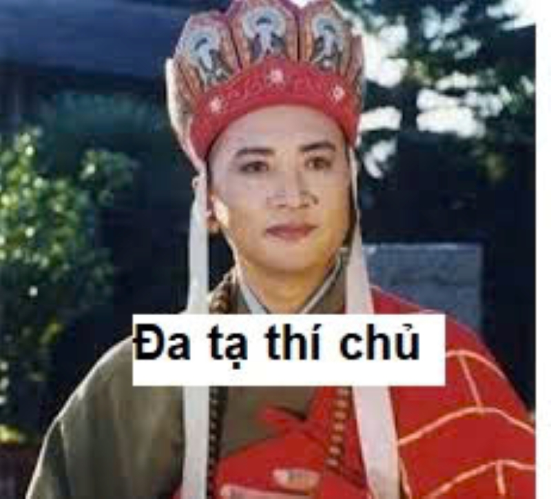 meme xin lỗi hài