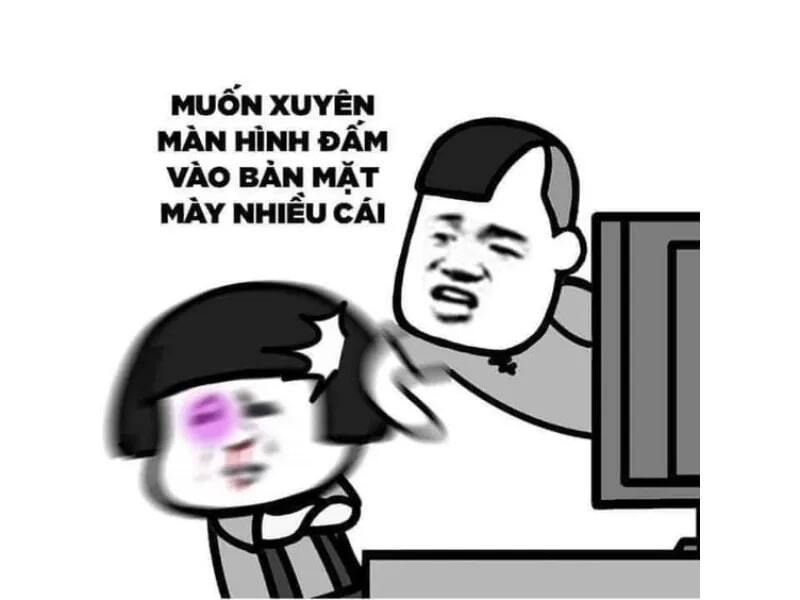 mèo đấm