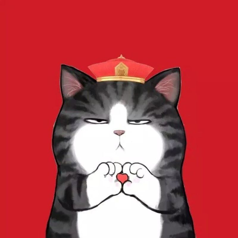 mèo meme tết