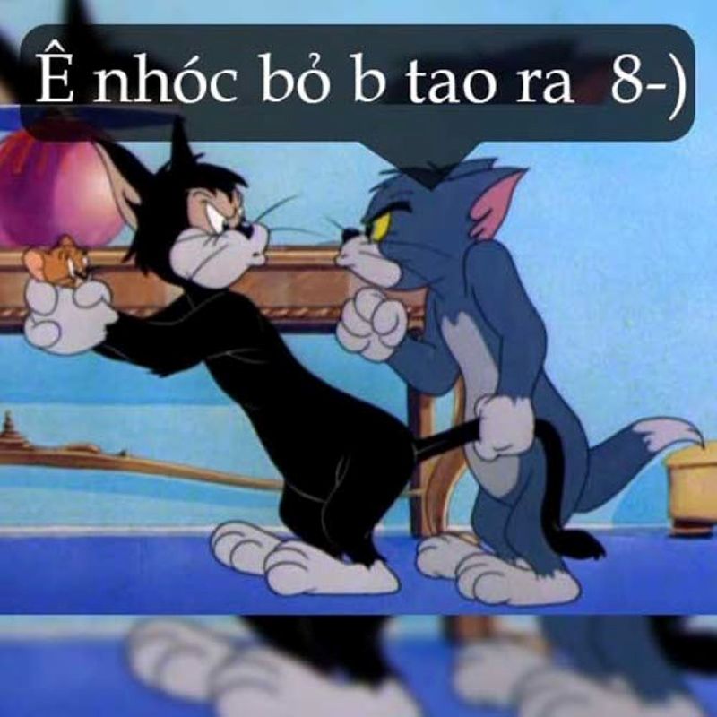 mèo tom meme