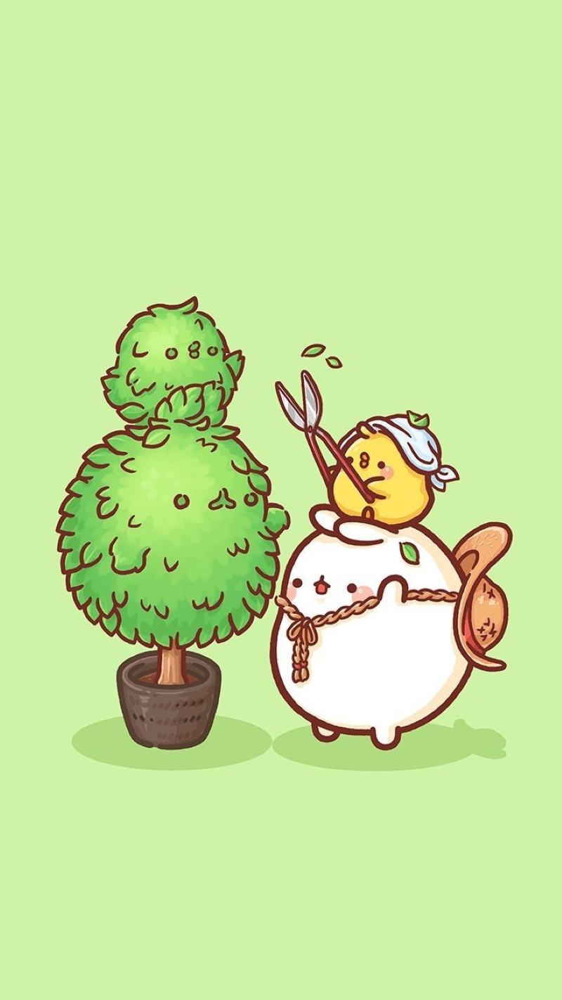 molang cute hình nền điện thoại