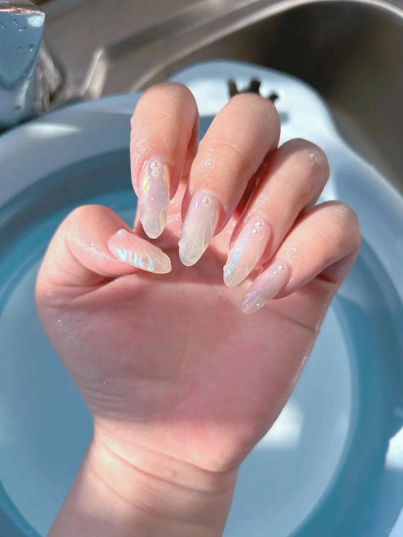 nail vỏ sò đơn giản