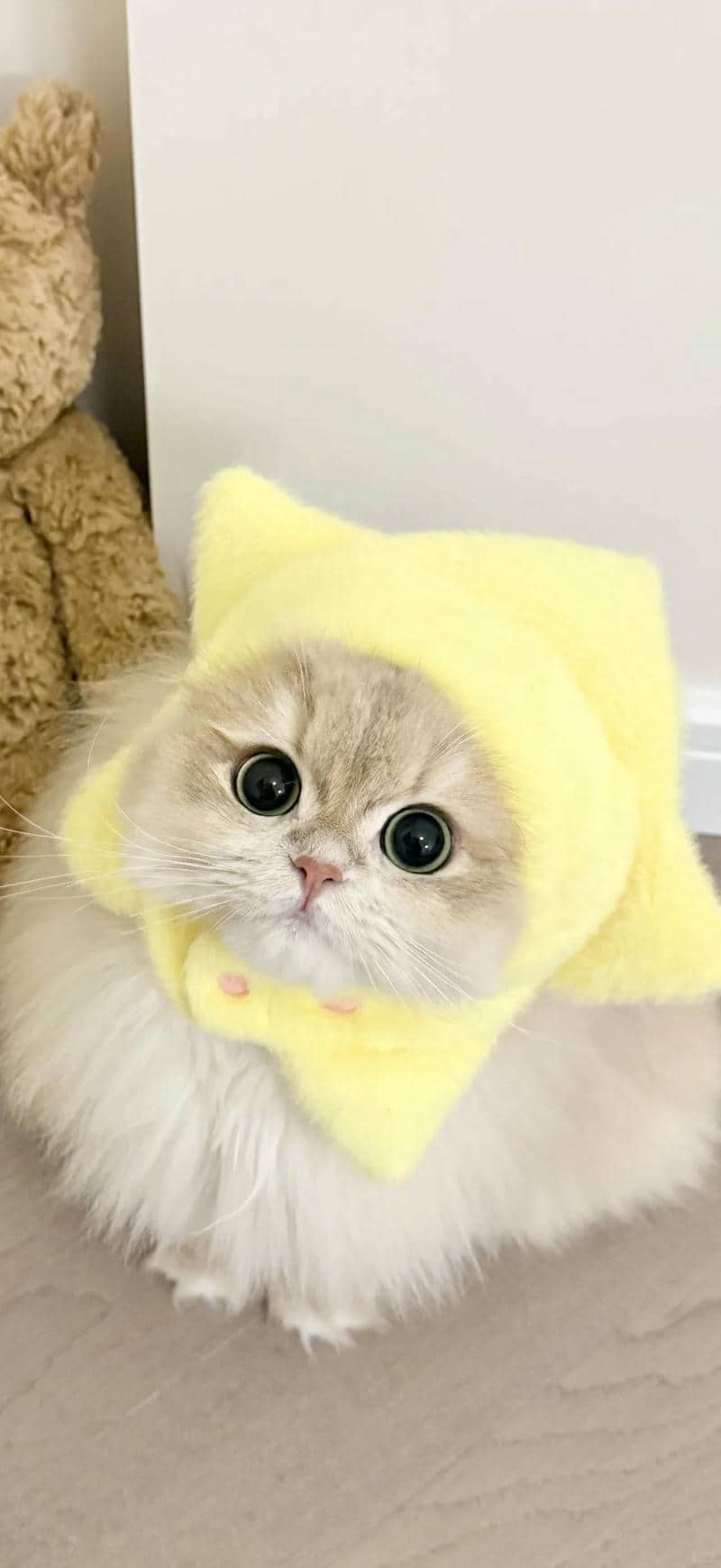 nền dễ thương cute