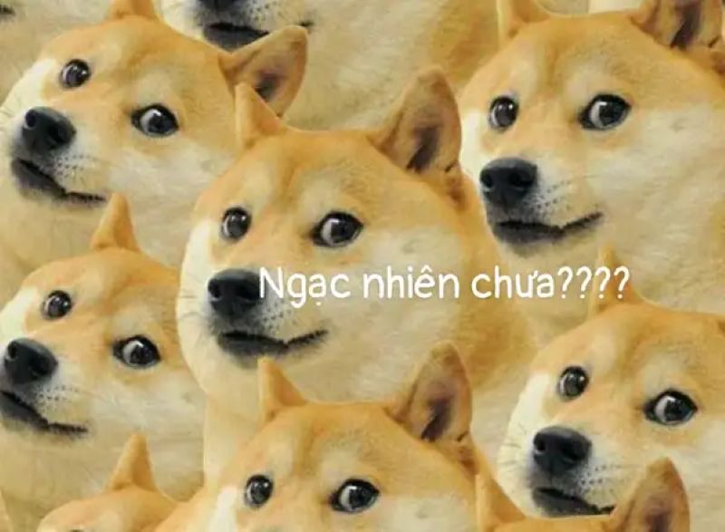 ngạc nhiên meme