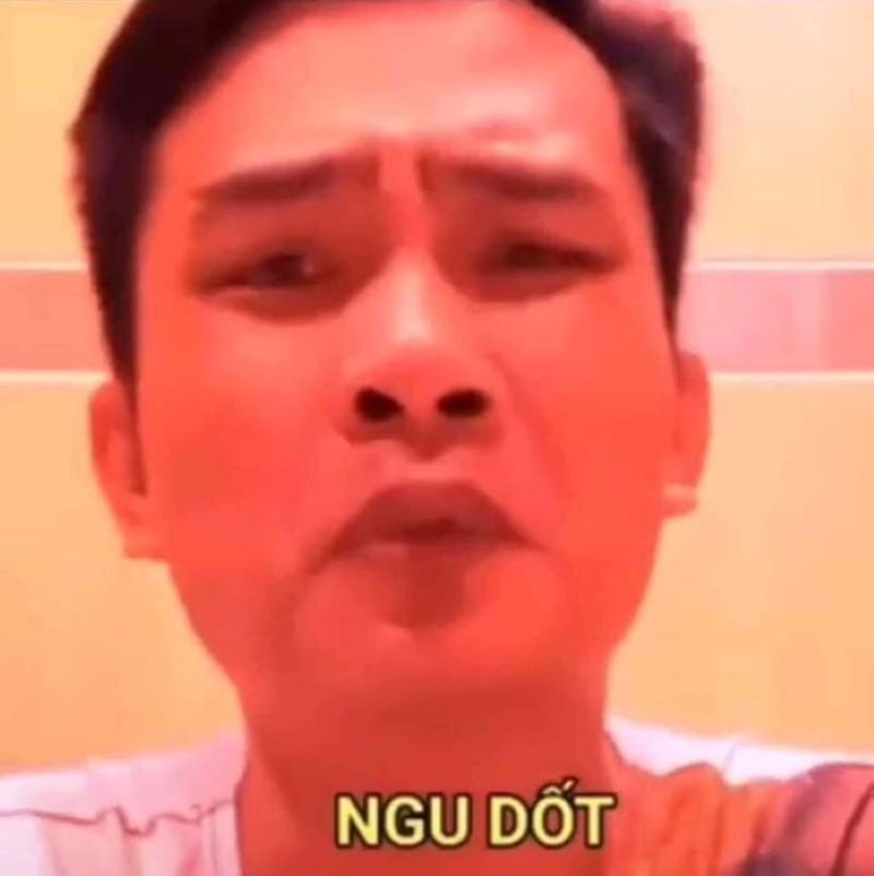 ngu dốt tiến bịp