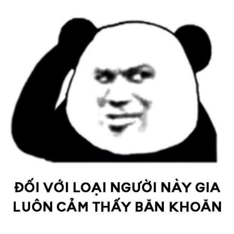 những hình ảnh meme hài hước