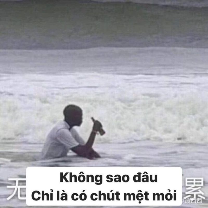 những hình ảnh mệt mỏi dễ thương