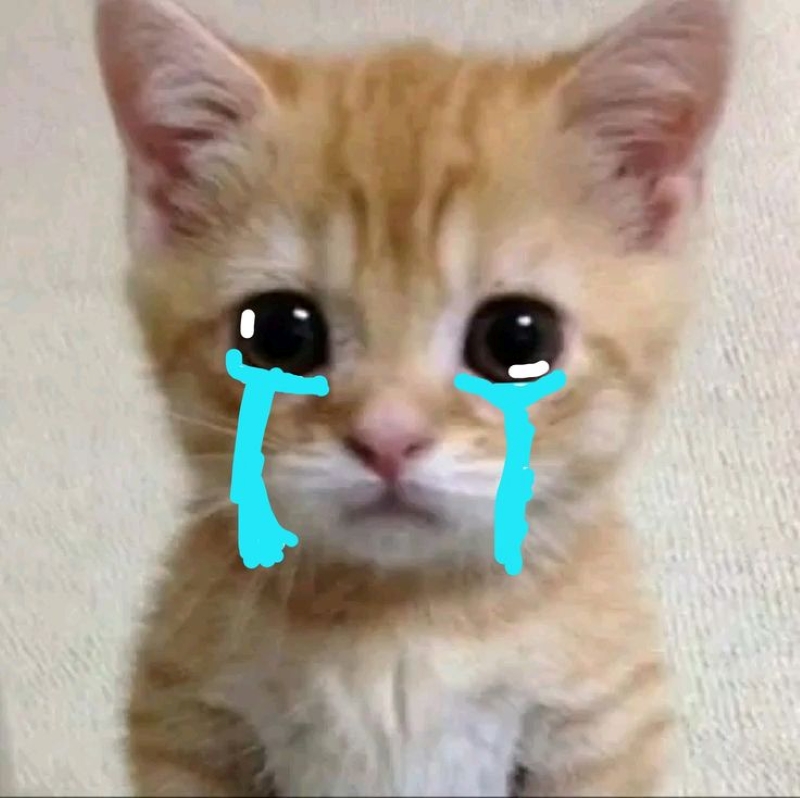 sầu meme