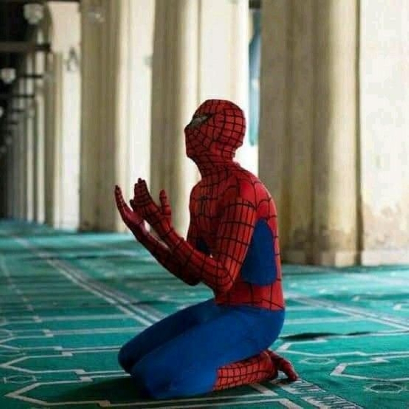 spider man chỉ nhau