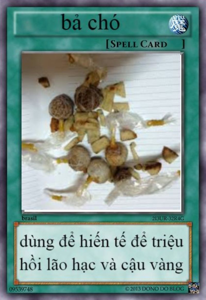 thẻ bài chế