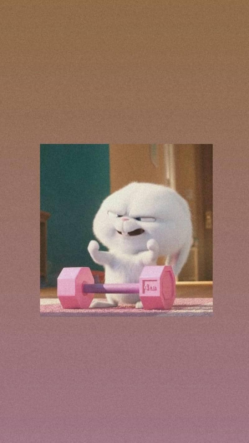 thỏ snowball dễ thương