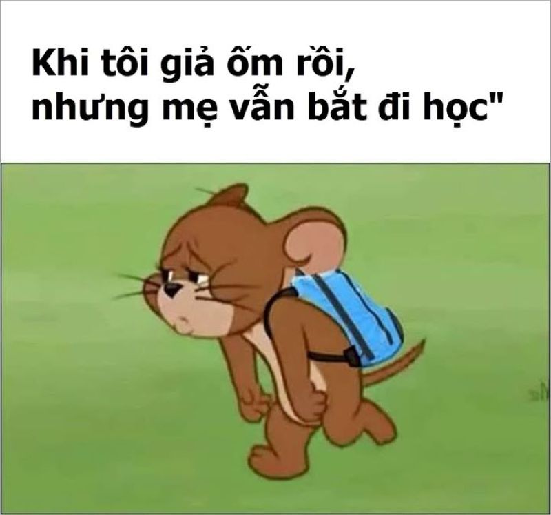 tom và jerry chế